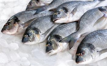 ثبات أسعار الأسماك اليوم في سوق العبور 17-4-2021