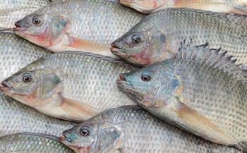 ثبات أسعار الأسماك اليوم 19-4-2021.. و«البلطي» يسجل 23 جنيهًا 