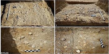 اكتشاف أدوات حجرية صنعها الإنسان منذ مليون سنة