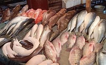ننشر أسعار السمك البلطي في مصر اليوم  الأربعاء 