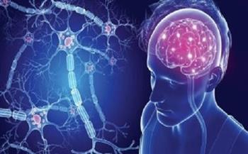 تحديد 3 أنواع فرعية من التصلب المتعدد من خلال فحوصات الدماغ