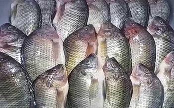 أسعار السمك اليوم الجمعة 9-4-2021.. و«الفيليه» يتراوح بين 30 لـ120 جنيهًا 