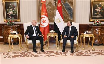نظرة على العلاقات المصرية التونسية قبل عقد القمة الثنائية غدًا