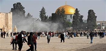 الأردن يدين اعتداء الاحتلال على موظفي إدارة أوقاف القدس 