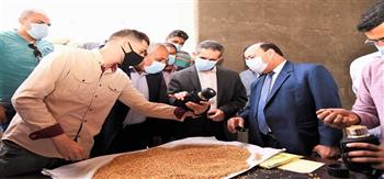 محافظ الغربية: توريد أكثر من 128 ألف طن من القمح
