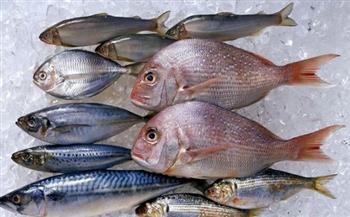 استقرار أسعار الأسماك اليوم الرابع من مايو