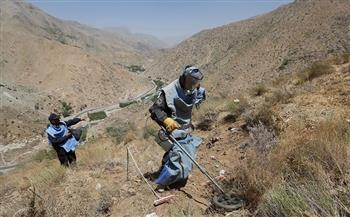 اللجنة الوطنية للقضاء على الألغام تدين مقتل عمال الازالة فى أفغانستان