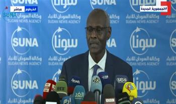 وزير الري السوداني: الملء الثاني لسد النهضة دون اتفاق أمر خطير