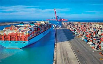 «بريقع»: ميناء الإسكندرية تداول 195 طنًا و432 كجم بضائع خلال 48 ساعة