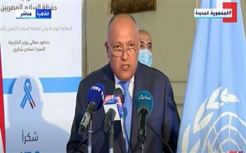 وزير الخارجية: تضحيات شهداء مصر بقوات حفظ السلام ستظل وسامًا نفخر به