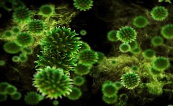 أستاذ فيروسات يكشف أعراض الفطريات المنتشرة وكيفية الوقاية منها
