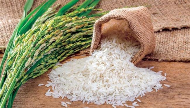 توقعات بارتفاع سعر «الأرز» فى مارس المقبل.. والصناعات الغذائية تحدد قيمة الزيادة