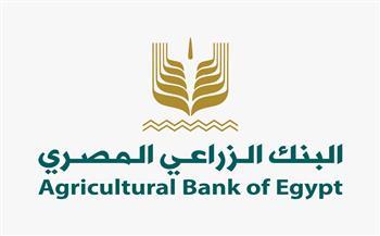 توريد 367 ألف طن من القمح لشون البنك الزراعي المصري خلال شهر