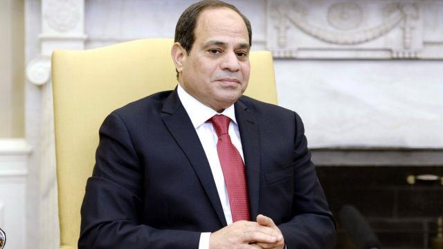 الرئيس السيسي: تكلفة الزراعة في «مستقبل مصر» أعلى بكثير من أي مكان بالدلتا