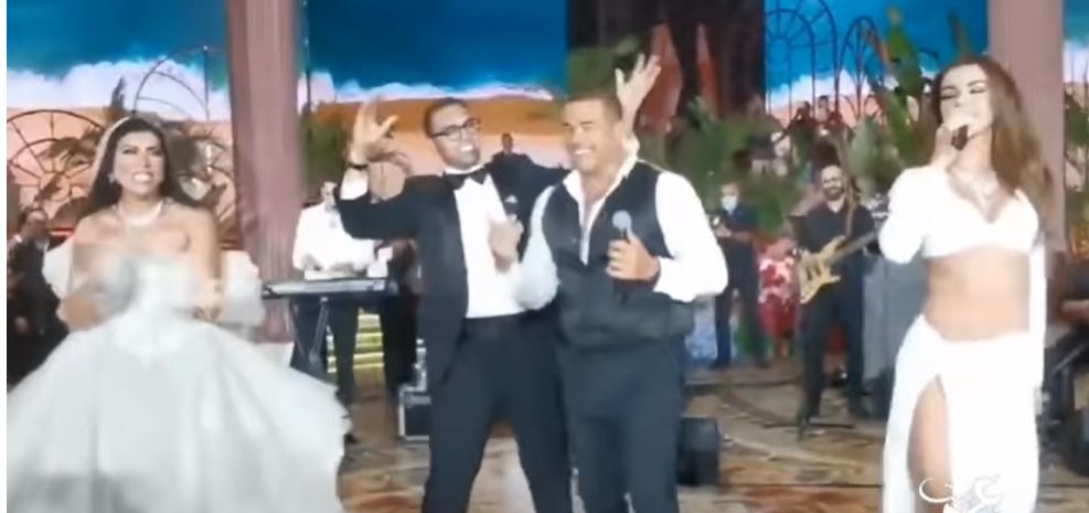 قصر اشرف شيحة رجل الاعمال في فرنسا 1